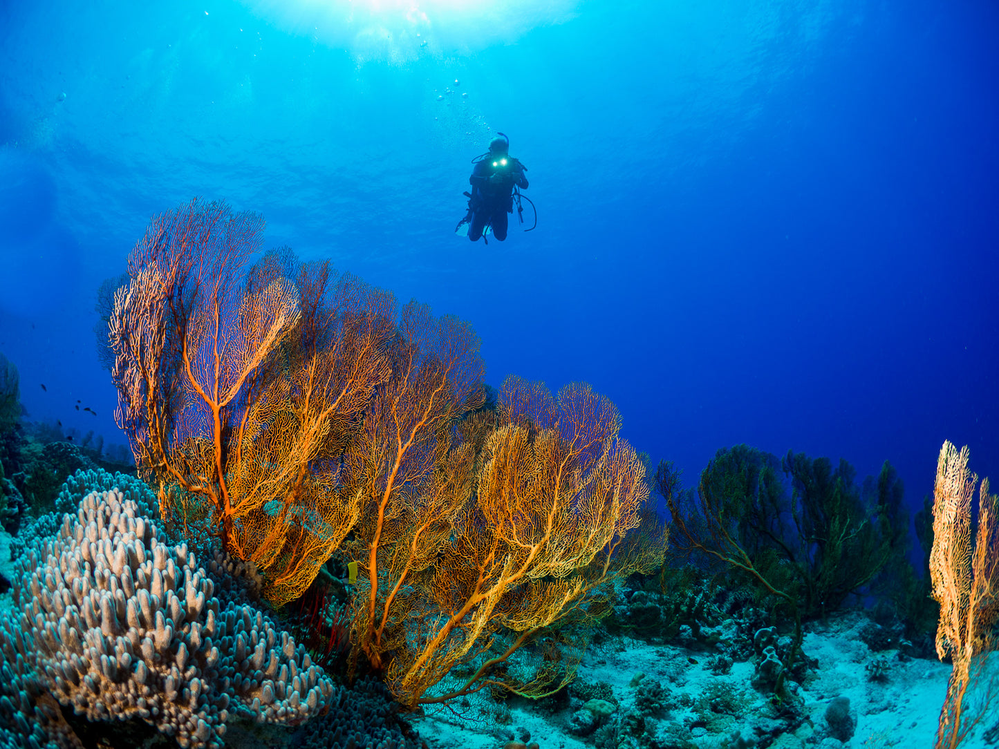 4 Night Island Escape (Monday to Friday)