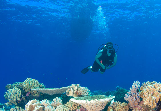 Cocos Day Canoe Safari Tours