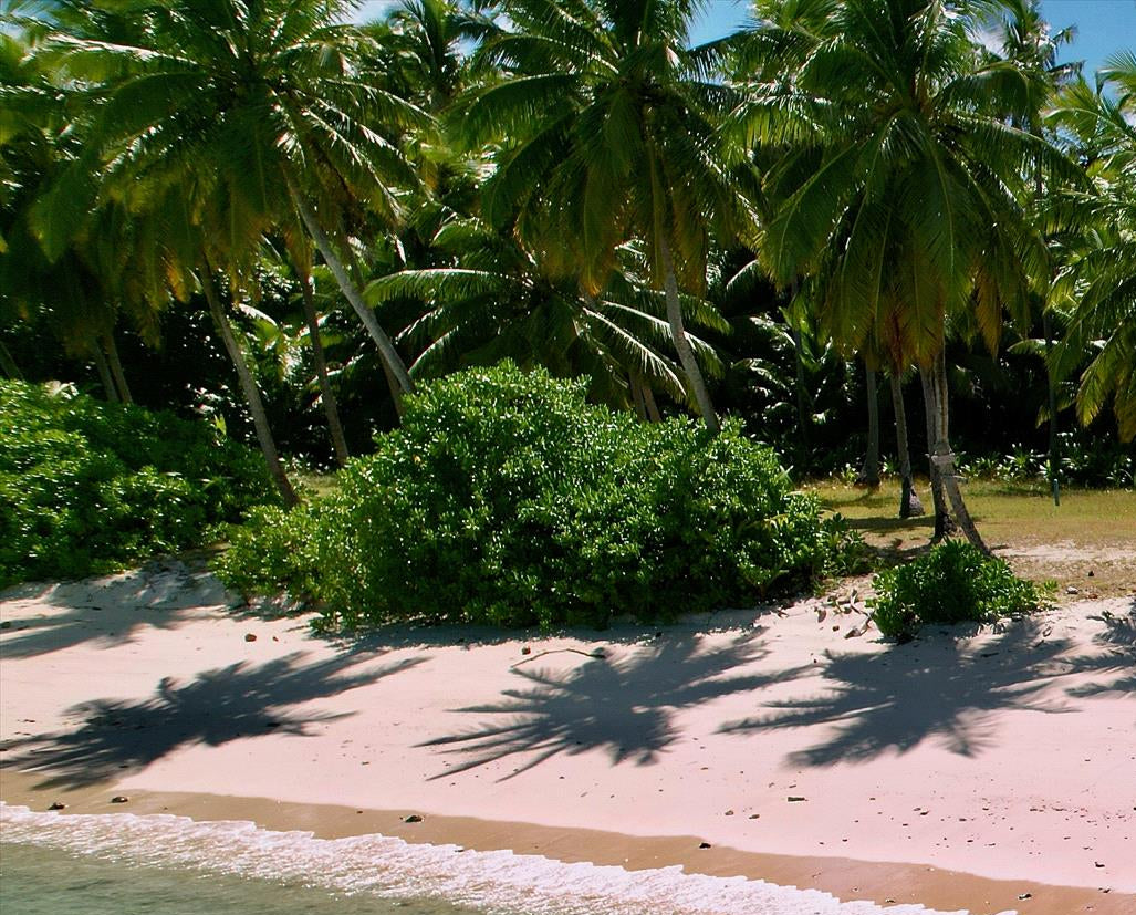 Direction Island Day Package | (Thursday or Saturday)