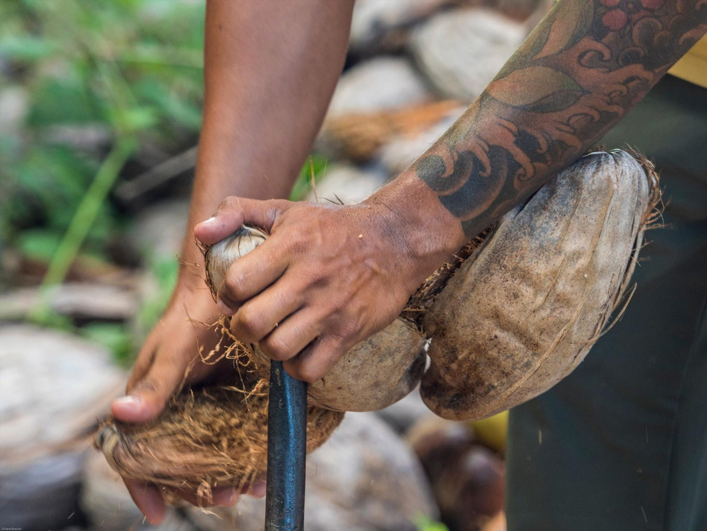 Wild Coconut Discovery Centre - Production Tours