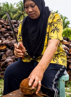Wild Coconut Discovery Centre - Production Tours