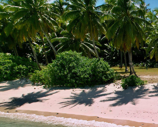 Direction Island Day Package | (Thursday or Saturday)